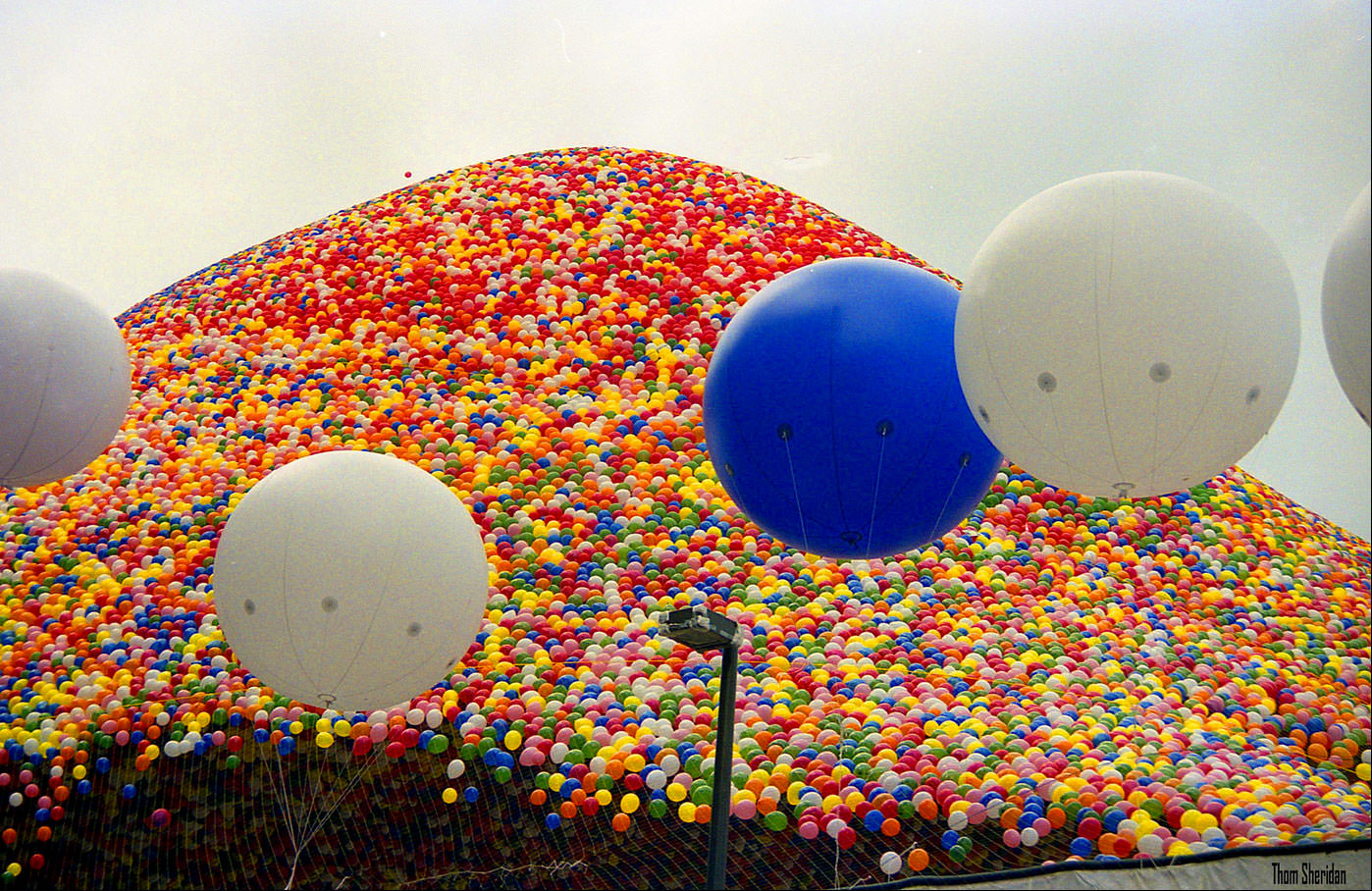 Lanzaron 1,5 Millones De Globos Al Cielo, Pero Nadie Pensó Que Eso Terminaría En Una Tragedia