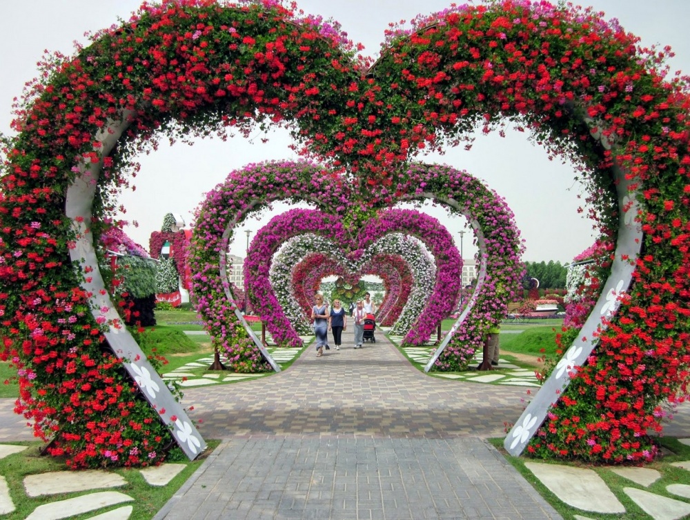 Hermoso Y Sorprendente Jardín De 6,7 Hectáreas Lleno De Flores De Dubai