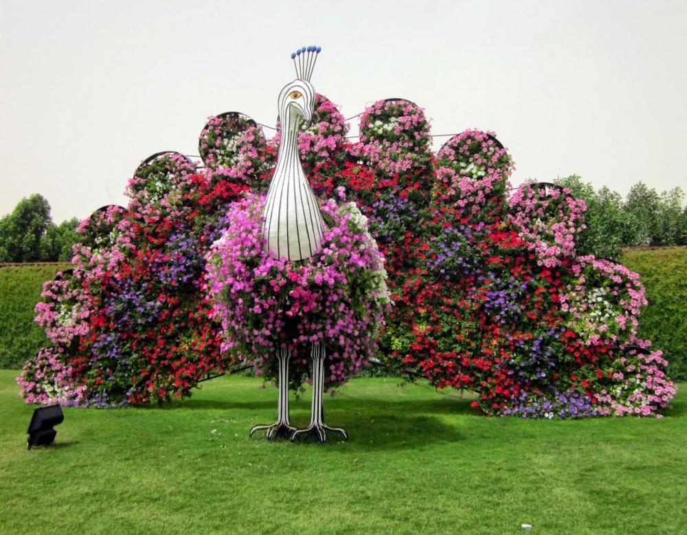 Hermoso Y Sorprendente Jardín De 6,7 Hectáreas Lleno De Flores De Dubai